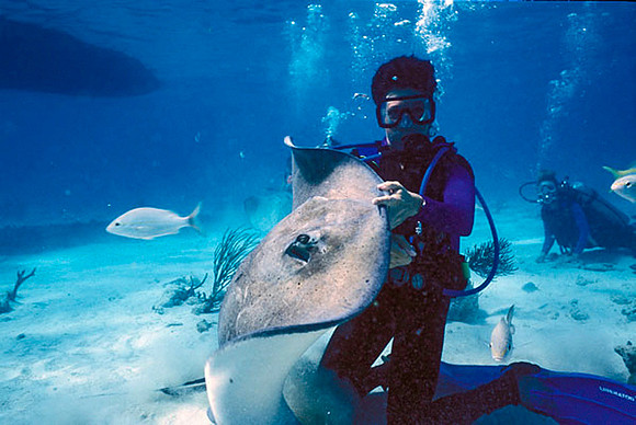 Susan In "Sting Ray City"