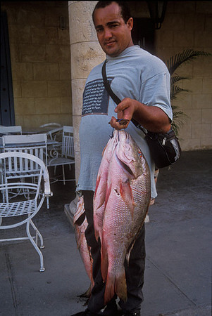 Big Catch