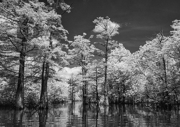 White River Bottoms