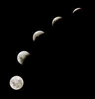 Lunar Lunacy
