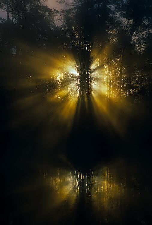 Angel Rays