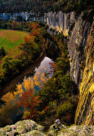 Buffalo Reflections