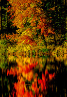 Fall Fireworks