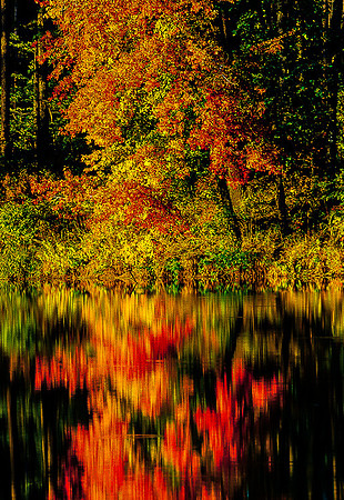 Fall Fireworks