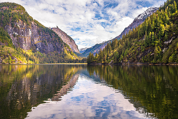 Morning Reflection Beauty