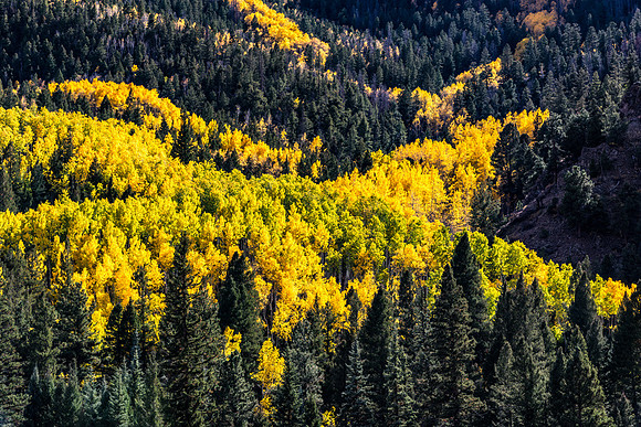 Aspen Art 1