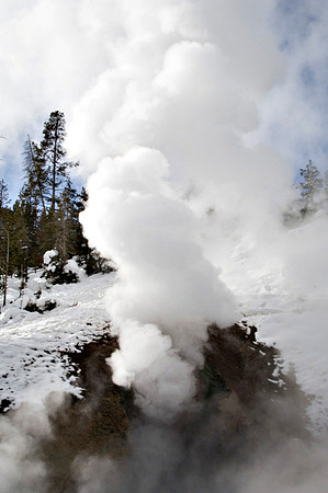 Belching Thermal Dragon