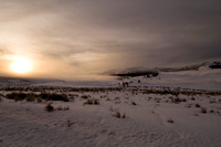Foggy Cold Sunrise
