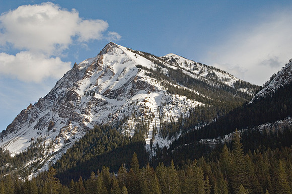Winter Peak Beauty