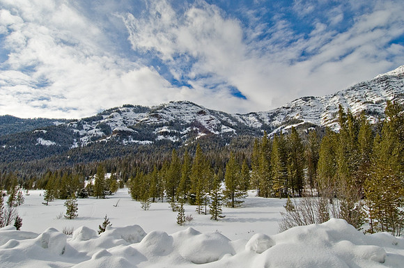 Winter Wonderland!