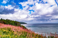Meat Cove Look Off