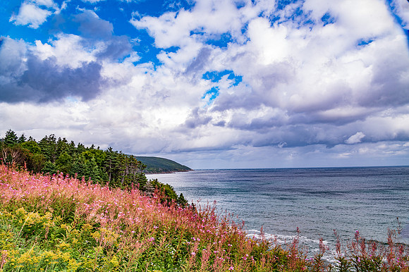 Meat Cove Look Off