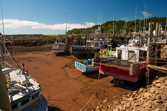 Alma Harbor Fishing Fleet Low Tide