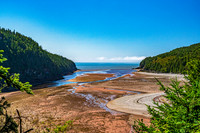 Point Wolfe low tide seabed