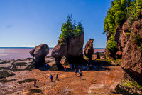 Hopewell Rocks Stacks-Low Tide
