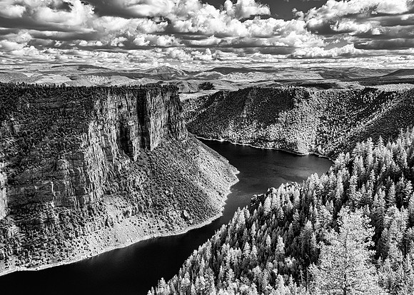 No Color Needed--Infrared 2
