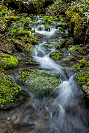 Mossy Spring