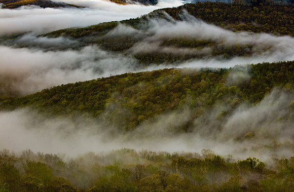 Fall Valley Fog