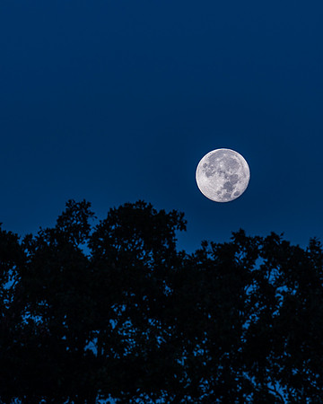 November Full Moon