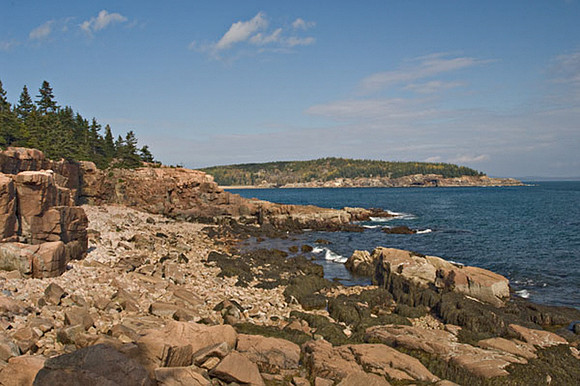 Coastal View at Otter Cliffs