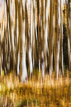 Aspen Abstract I