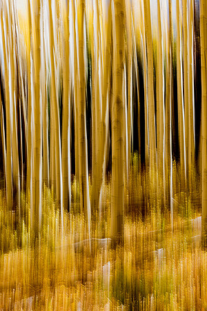 Aspen Abstract II