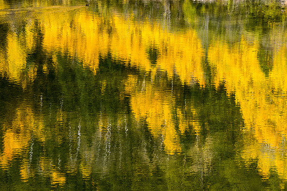 Colorful Reflection