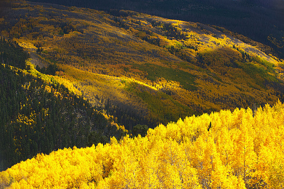 Aspen Art 2