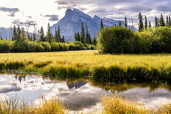 Mount Rundle & Stream