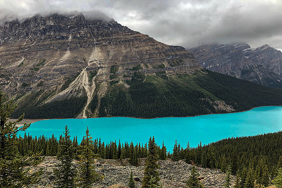 Peyto Lake (Pee-to)