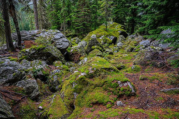 Rock Garden