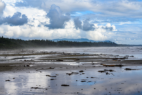 Long Beach Landscape