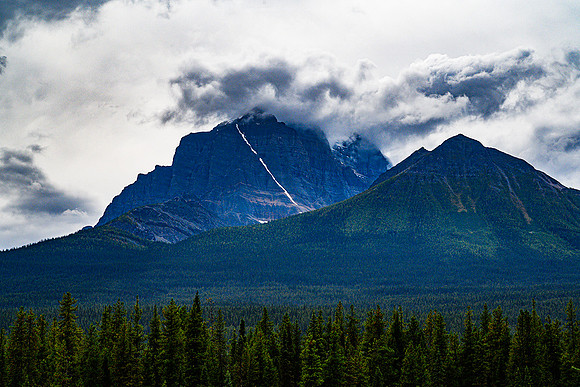 Mountain Beauty