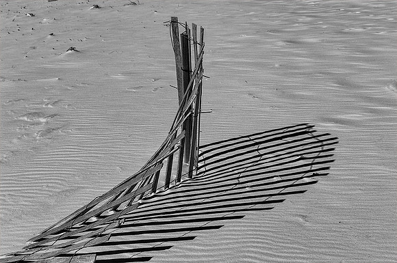 Sand Fence Shadows 3
