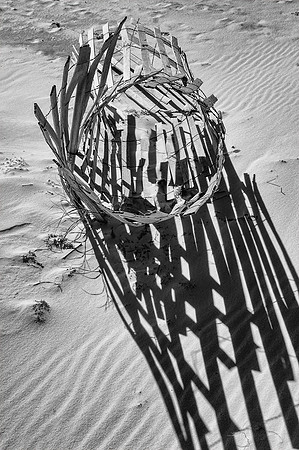 Sand Fence Shadows 2