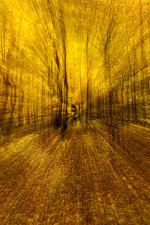 Fall Tunnel View 2