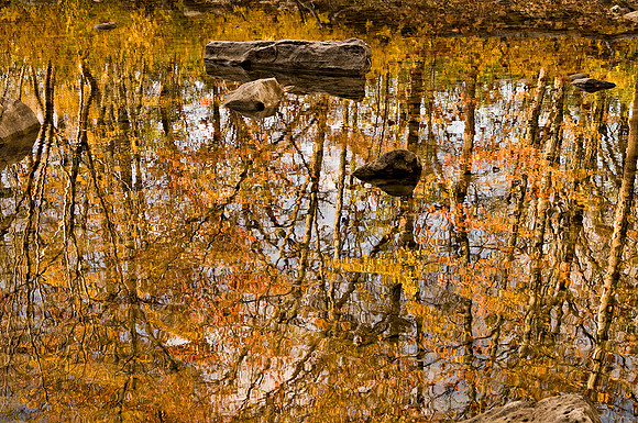 Fall Foliage Reflection 2