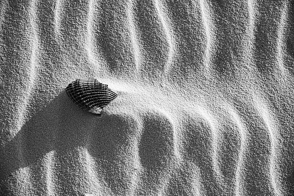Wind Art 2