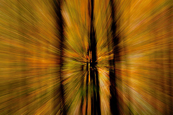 Fall Tunnel View 1