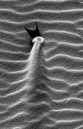 Wind Art 3
