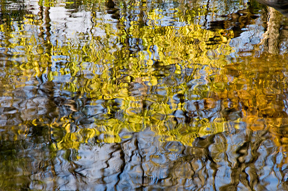 Fall Foliage Reflection 1
