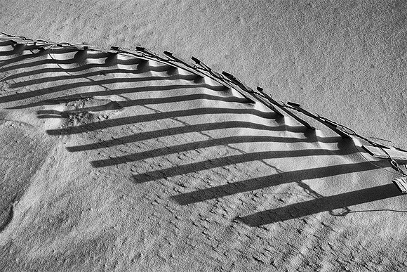 Sand Fence Shadows 1