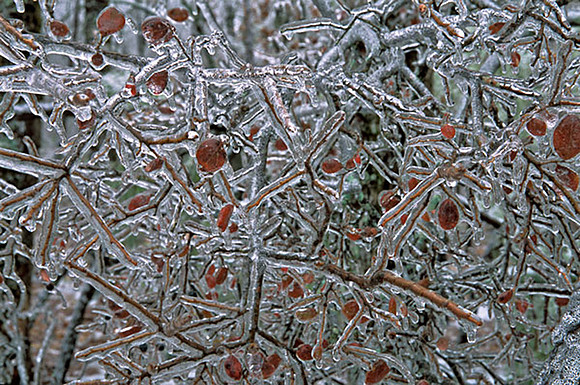 Ice Imagery