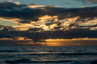 Sunrise Pelican Flight
