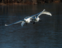 Landing Approach