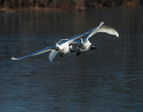Landing Approach