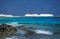 Salt Mounds