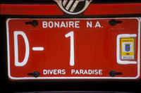Governors Car License
