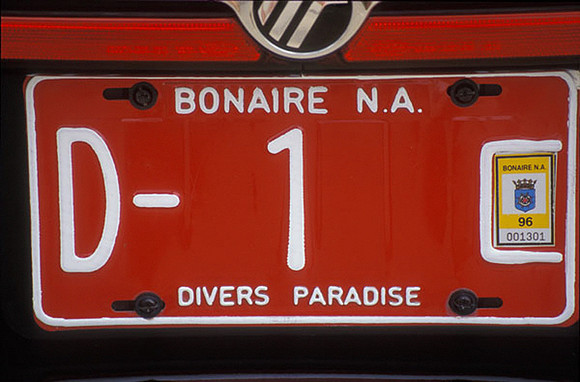 Governors Car License