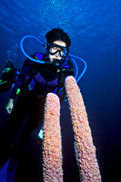 Susan & Tube Sponge
